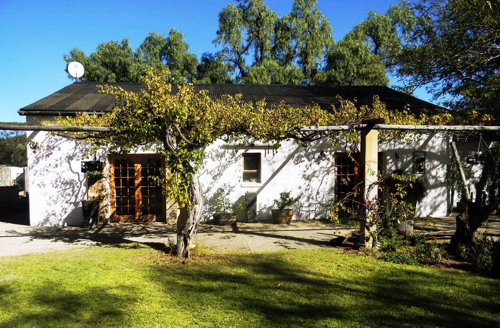 Witkrans Guest Farm Hotel Middelburg  Екстериор снимка